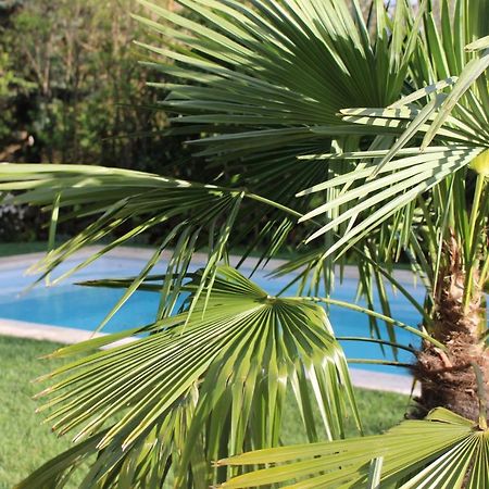 Les Romarins B&B, 10 Min D'Uzes, Piscine Et Grand Jardin, Table D'Hote Экстерьер фото